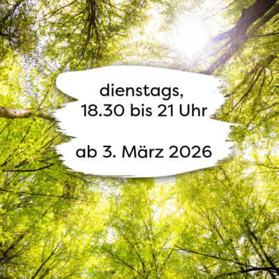 Ankündigung MBSR Kurs ab 03.03.2026