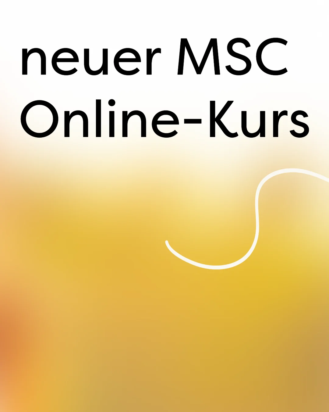 MSC Slider 1